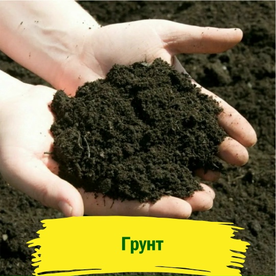 Грунт для растений